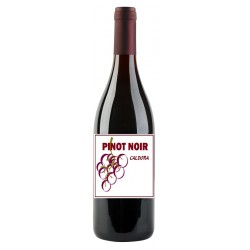 882- Pinot Noir Caldora / Produce in store