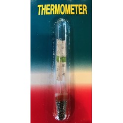 Thermomètre flottant